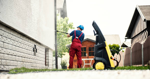 Best Graffiti Removal  in Hampton, IA